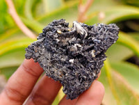 Natural Schorl Black Tourmaline Specimens x 12 From Erongo, Namibia