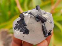 Natural Schorl Black Tourmaline Specimens x 12 From Erongo, Namibia