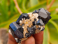 Natural Schorl Black Tourmaline Specimens x 12 From Erongo, Namibia