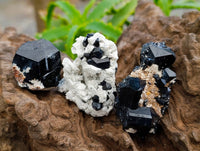 Natural Schorl Black Tourmaline Specimens x 12 From Erongo, Namibia