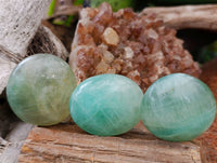 Polished Green Fluorite Palm Stones x 20 From Madagascar