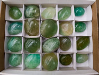 Polished Green Fluorite Palm Stones x 20 From Madagascar