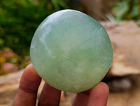 Polished Green Fluorite Palm Stones x 20 From Madagascar