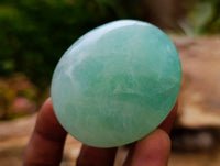 Polished Green Fluorite Palm Stones x 20 From Madagascar