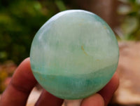 Polished Green Fluorite Palm Stones x 20 From Madagascar