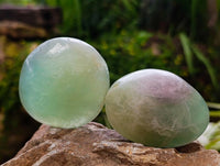 Polished Green Fluorite Palm Stones x 20 From Madagascar