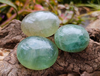 Polished Green Fluorite Palm Stones x 20 From Madagascar