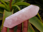 Polished Double Terminated Rose Quartz Crystals x 6 From Madagascar - Toprock Gemstones and Minerals 