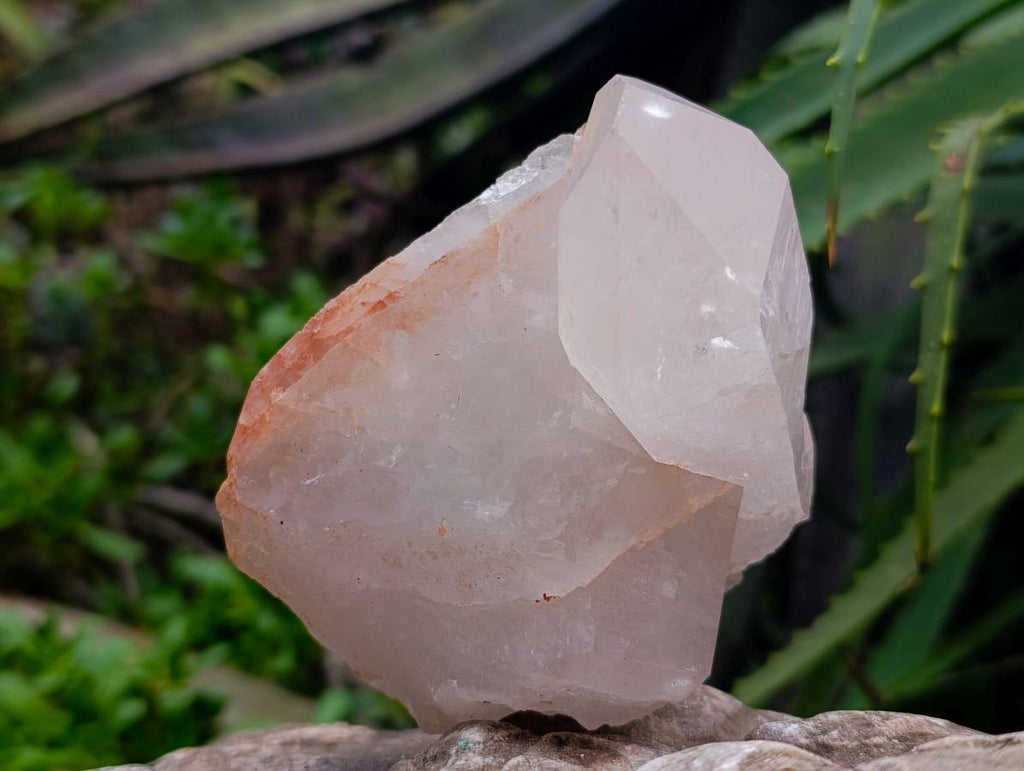 Natural Multi-Terminated Mpika Quarts Clusters x 3 From Mpika, Zambia - Toprock Gemstones and Minerals 