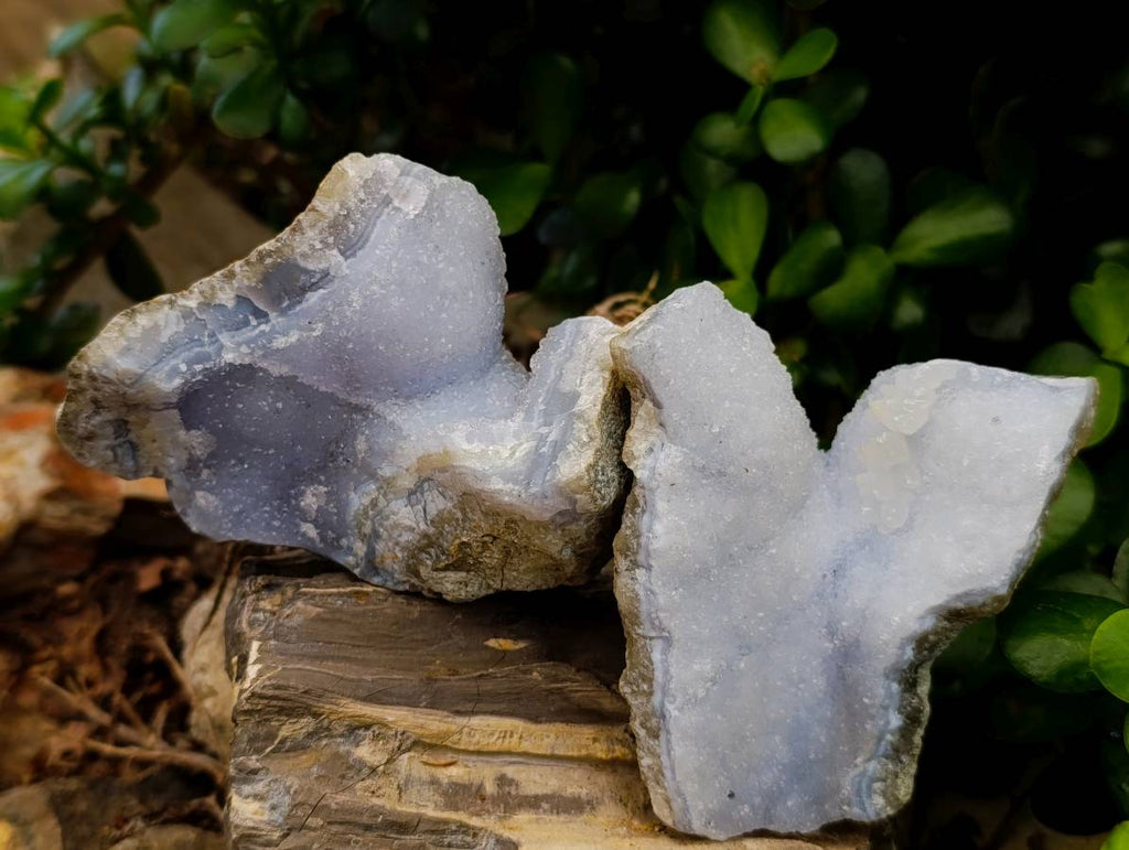 Natural Blue Lace Agate Geode Specimens x 12 From Nsanje, Malawi