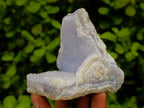 Natural Blue Lace Agate Geode Specimens x 12 From Nsanje, Malawi