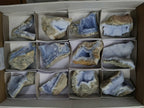 Natural Blue Lace Agate Geode Specimens x 12 From Nsanje, Malawi