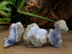 Natural Blue Lace Agate Geode Specimens x 12 From Nsanje, Malawi