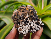 Natural Aegirine, Smokey Quartz, Zircon, Orthoclase Clusters x 6 From Zomba Mountain, Malawi