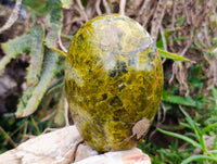 Polished Green Opal Standing Free Forms x 3 From Betroka, Madagascar