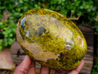 Polished Green Opal Standing Free Forms x 3 From Betroka, Madagascar