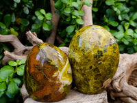Polished Green Opal Standing Free Forms x 3 From Betroka, Madagascar