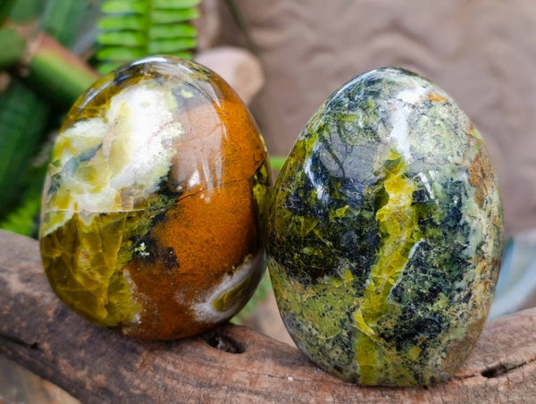 Polished Green Opal Standing Free Forms x 3 From Betroka, Madagascar