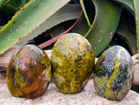 Polished Green Opal Standing Free Forms x 3 From Betroka, Madagascar