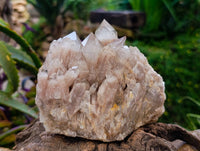 Natural Smokey Phantom Quartz Clusters x 2 From Luena, Congo