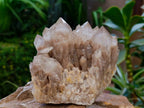 Natural Smokey Phantom Quartz Clusters x 2 From Luena, Congo