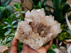 Natural Smokey Phantom Quartz Clusters x 2 From Luena, Congo
