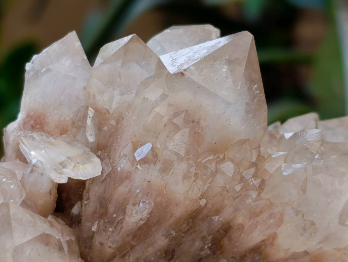 Natural Smokey Phantom Quartz Clusters x 2 From Luena, Congo
