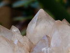 Natural Smokey Phantom Quartz Clusters x 2 From Luena, Congo