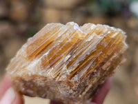 Natural Honey Aragonite Specimens x 12 From Namibia