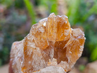 Natural Honey Aragonite Specimens x 12 From Namibia