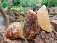 Natural Honey Aragonite Specimens x 12 From Namibia