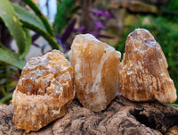 Natural Honey Aragonite Specimens x 12 From Namibia