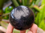 Polished Black Tourmaline Spheres x 6 From Madagascar