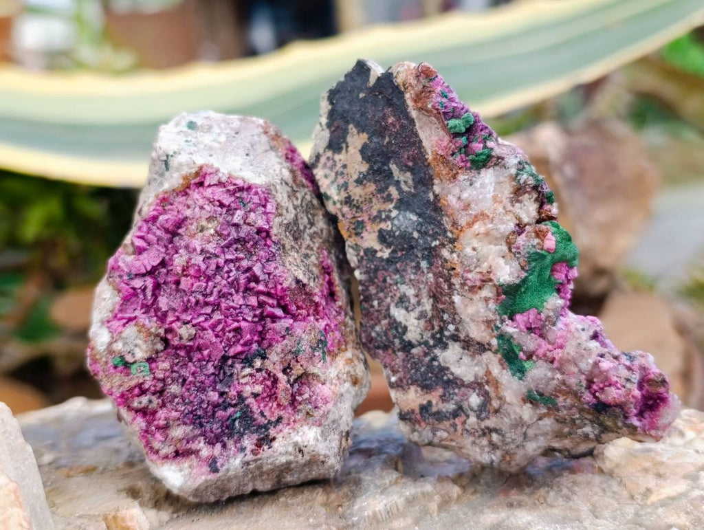 Natural Salrose Cobaltion Dolomite With Malachite Specimens x 6 From Kakanda, Congo