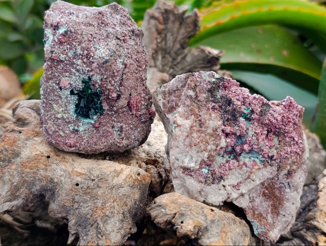 Natural Salrose Cobaltion Dolomite With Malachite Specimens x 6 From Kakanda, Congo