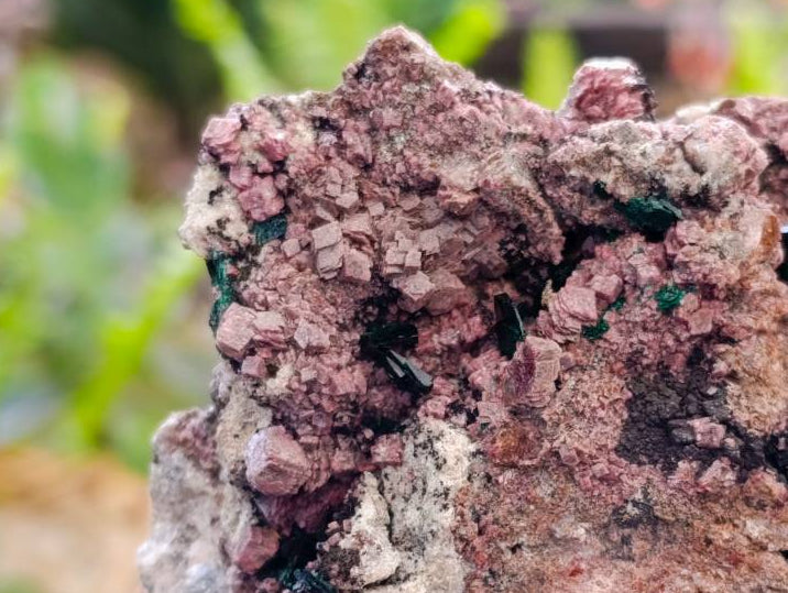 Natural Salrose Cobaltion Dolomite With Malachite Specimens x 6 From Kakanda, Congo