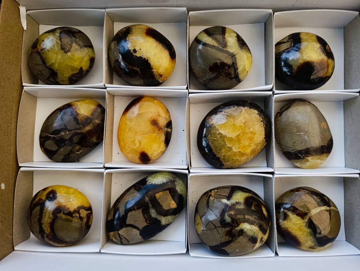 Polished Septerye Galets x 12 From Mahajanga, Madagascar