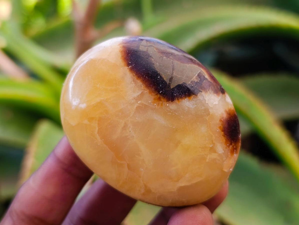 Polished Septerye Galets x 12 From Mahajanga, Madagascar