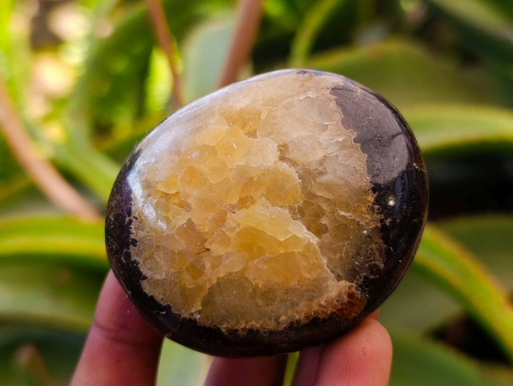 Polished Septerye Galets x 12 From Mahajanga, Madagascar