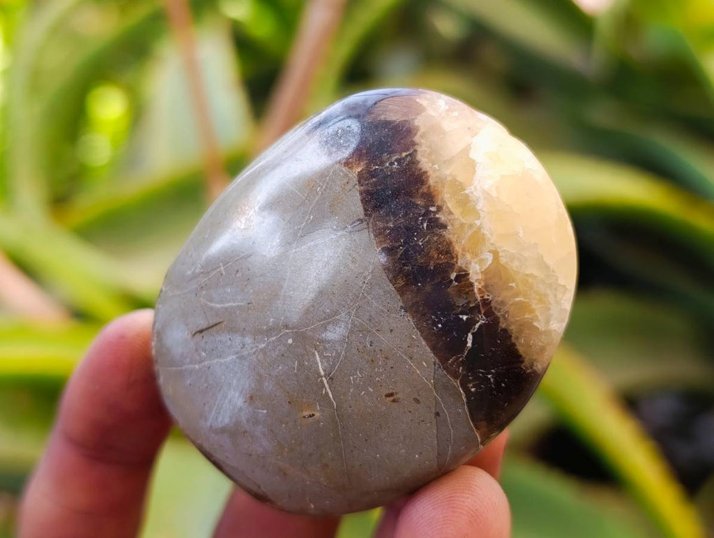 Polished Septerye Galets x 12 From Mahajanga, Madagascar