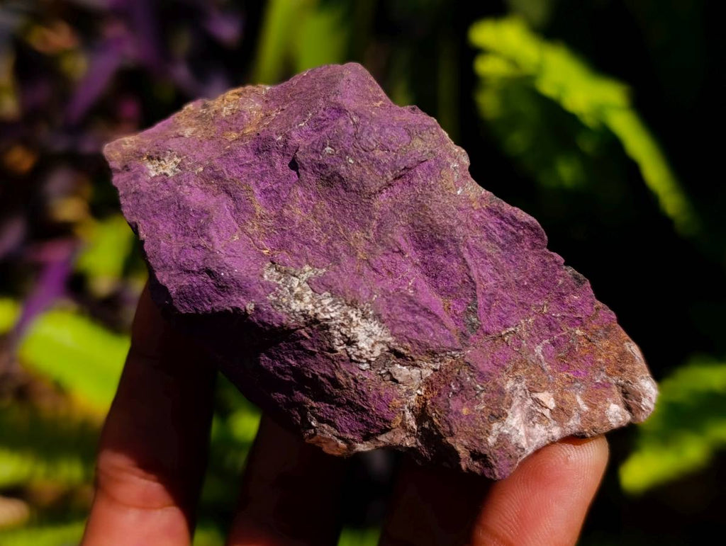 Natural Metallic Purpurite Specimens x 12 From Erongo, Namibia