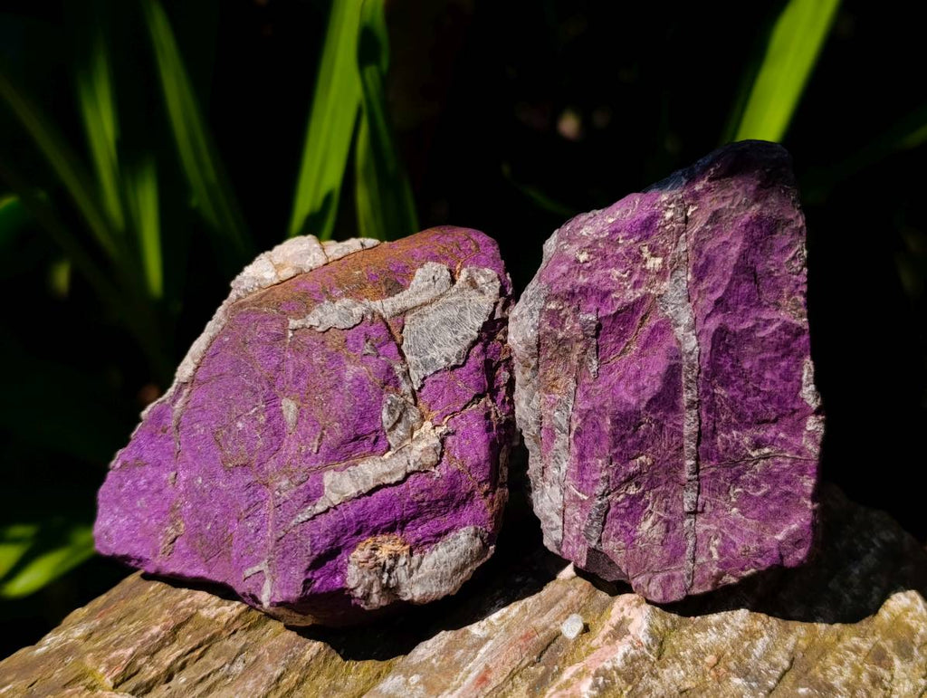 Natural Metallic Purpurite Specimens x 12 From Erongo, Namibia