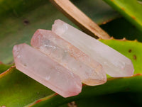 Natural Mini Double Terminated Red Hematoid Quartz Crystals x 70 From Madagascar