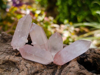 Natural Mini Double Terminated Red Hematoid Quartz Crystals x 70 From Madagascar