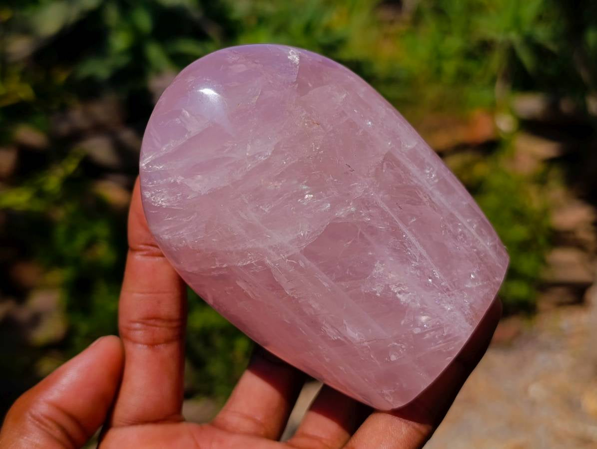 Polished Rose Quartz Standing Free Forms x 4 From Madagascar