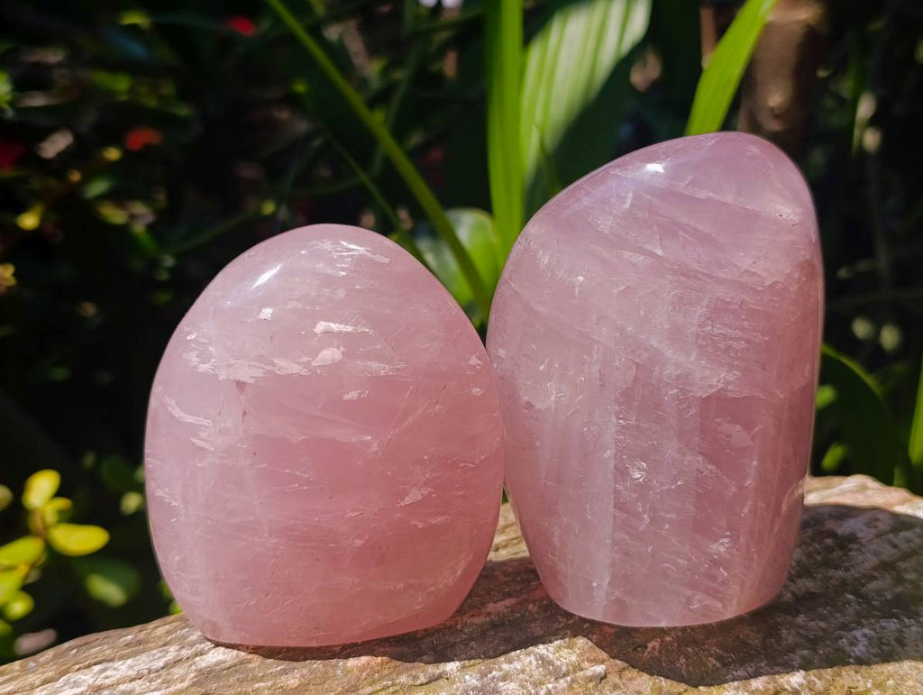 Polished Rose Quartz Standing Free Forms x 4 From Madagascar
