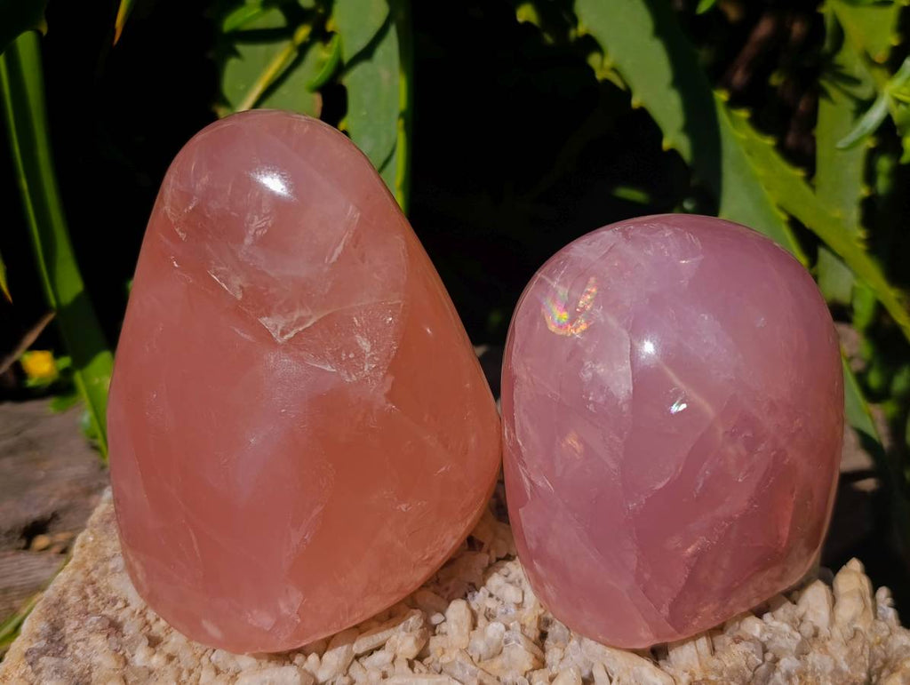 Polished Rose Quartz Standing Free Forms x 4 From Madagascar