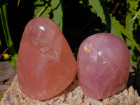 Polished Rose Quartz Standing Free Forms x 4 From Madagascar