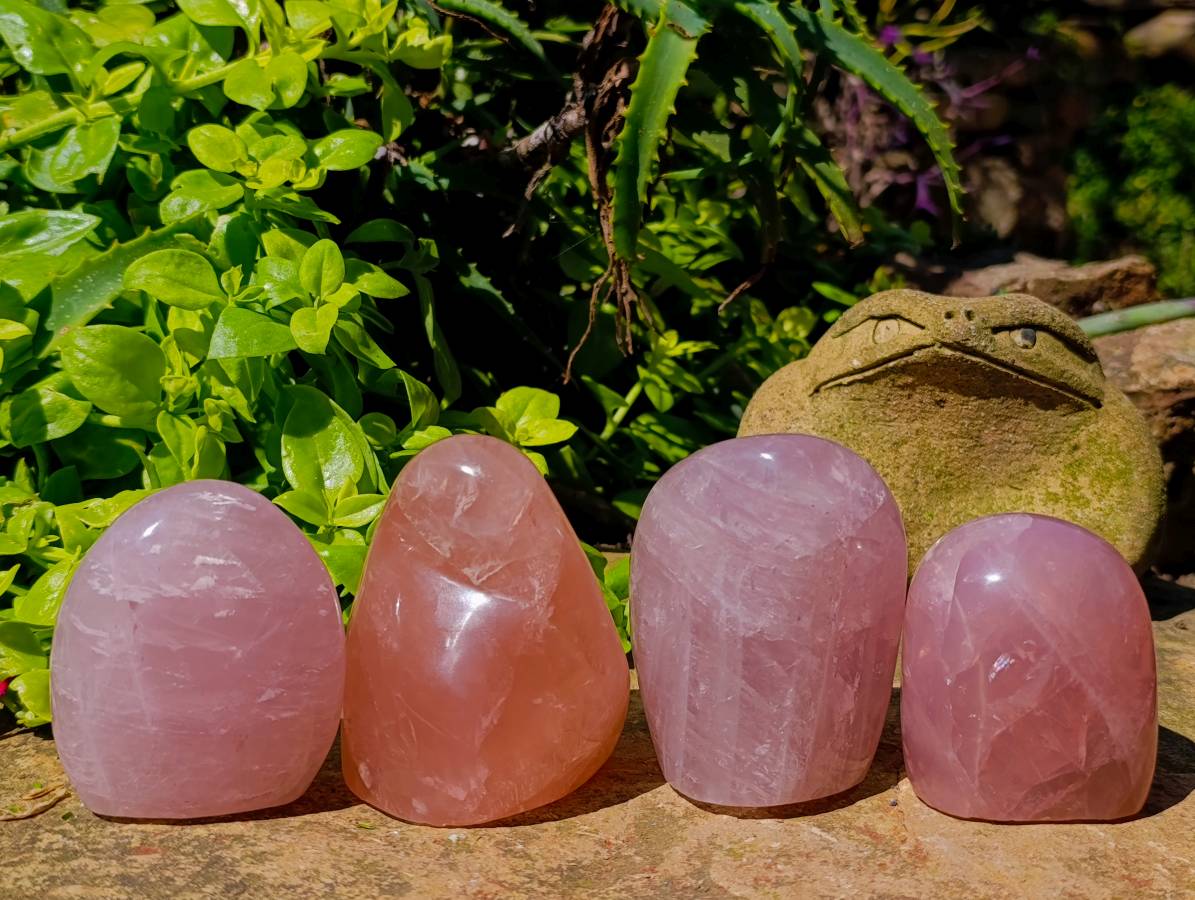 Polished Rose Quartz Standing Free Forms x 4 From Madagascar