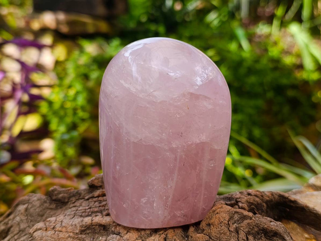 Polished Rose Quartz Standing Free Forms x 4 From Madagascar